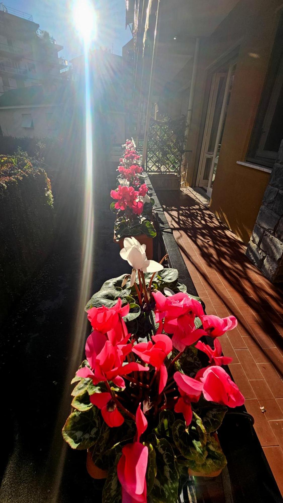 Casa Con Giardino Vicino Al Mare Daire Rapallo Dış mekan fotoğraf